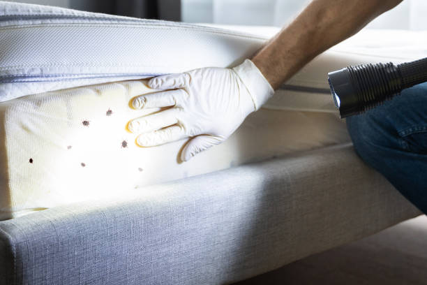Best Best Pest Control Companies  in China, TX